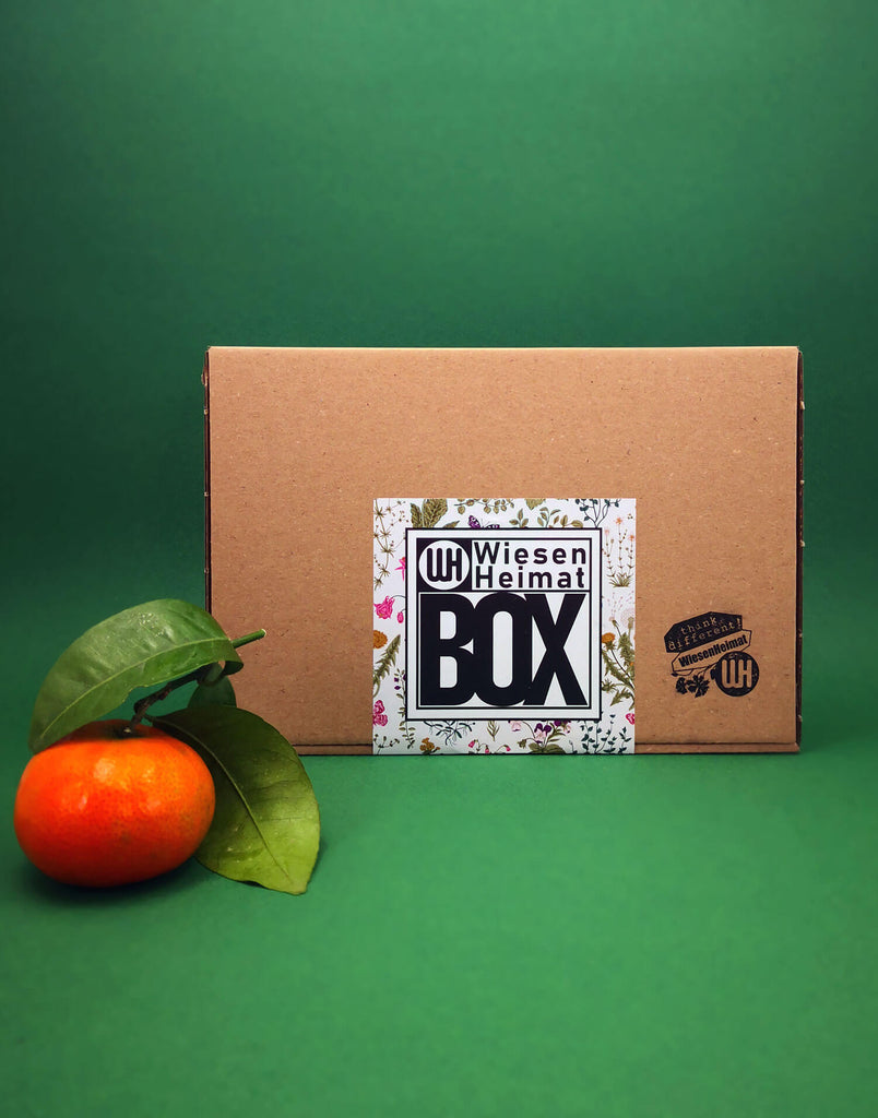 Umweltfreundliche Geschenk Box